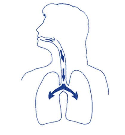 SAN LOMUDAL TAB4